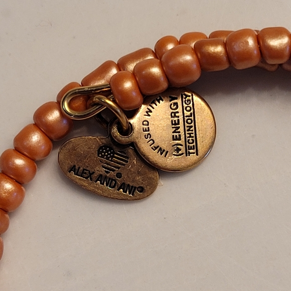 ALEX & ANI Primal Spirit Savanna Wrap Bracelet color Rafaelian Gold w/ 2 charms - Picture 3 of 8